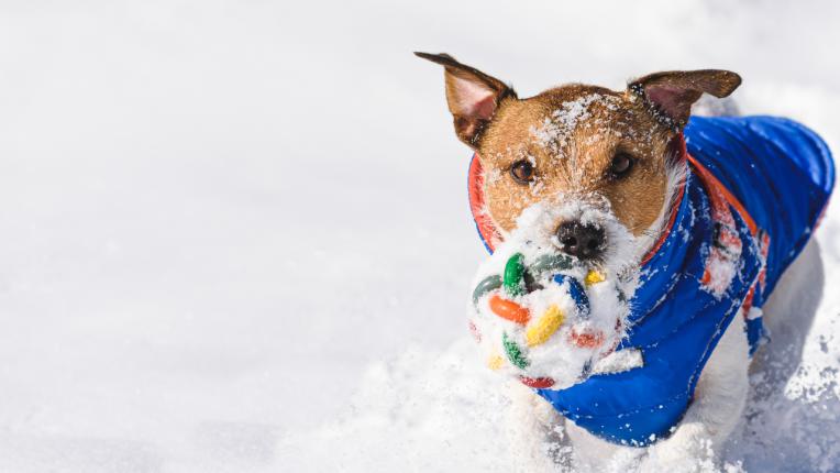  Дневен хороскоп за вторник, 7 февруари 