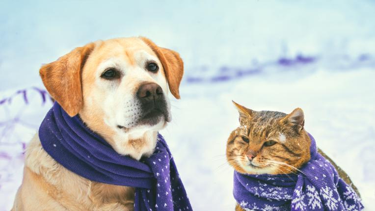  Дневен хороскоп за вторник, 7 февруари 