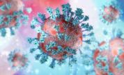 Коронавирусът: Новите случаи за последните 24 часа у нас