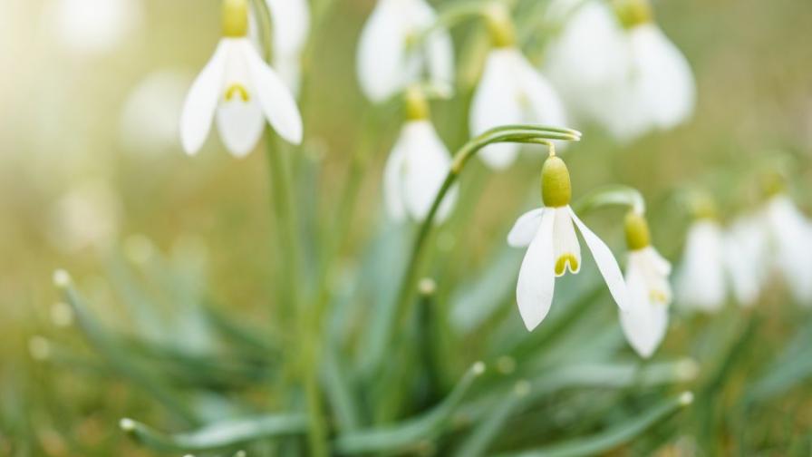 Слънчев петък, очакваме мъгли през уикенда