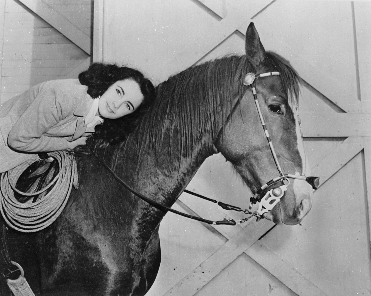 <p><strong>Елизабет Тейлър прави своя филмов дебют на 10-годишна възраст </strong>във филма &bdquo;Всяка минута се ражда по един&ldquo; (1942).Тейлър получава първата си главна роля на 12-годишна възраст, когато се появява в &bdquo;National Velvet&ldquo; (1944). Тя играе момиче, обичащо конете, Велвет Браун, което обучава кон за Grand National race, престижно конно надбягване в Англия. Филмът има голям успех, печели два Оскара и е номиниран за други три.Съзрявайки бързо, актрисата прави преход към роли за възрастни през 1950 г., когато навършва 18 години, появявайки се във филми като &bdquo;Конспиратор&ldquo; (1949), &bdquo;Бащата на булката&ldquo; (1950) и &bdquo;Място под слънцето&ldquo; (1951).</p>
