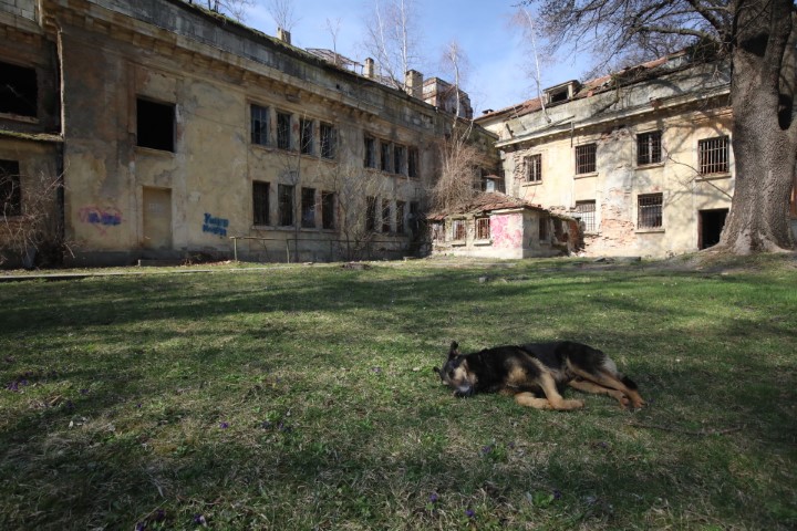 <p>Започва реставрацията на минералната баня в Овча купел. Tя ще струва 8 млн. лв., като над 4,4 млн. лв. от тях идват от бюджета на Столичната община с решение от СОС. Банята ще бъде и културен център, заяви председателят на Столичния общински съвет Георги Георгиев по време на проверка във връзка със започващите ремонтни дейности.</p>