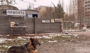 Снимката е илюстративна