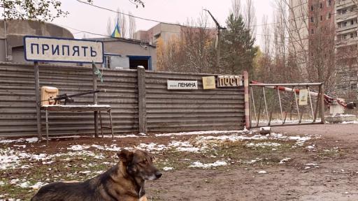 Снимката е илюстративна