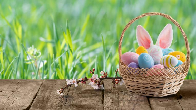  Какво споделя твоето яйце 