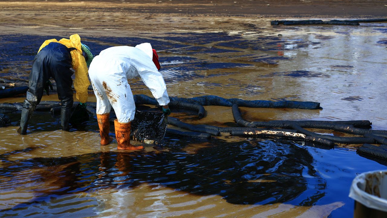 <p><strong>Нефтените разливи са причинени от еколози</strong> &ndash; 9% от американците смятат, че нефтените разливи са причинени от еколози, докато 22% не са сигурни в това.</p>