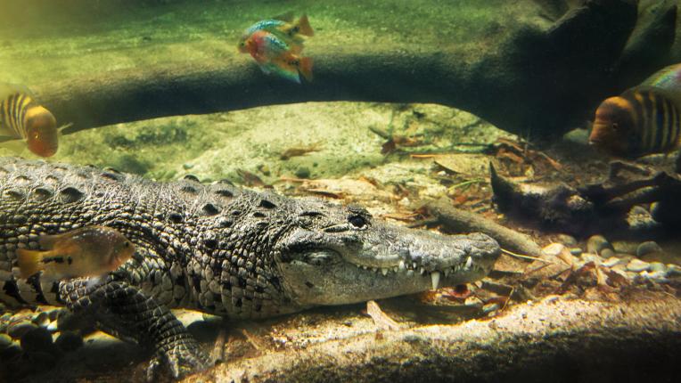  Отговори на ТЕСТ: 7 въпроса, с които всеки образован човек би трябвало да се оправи 