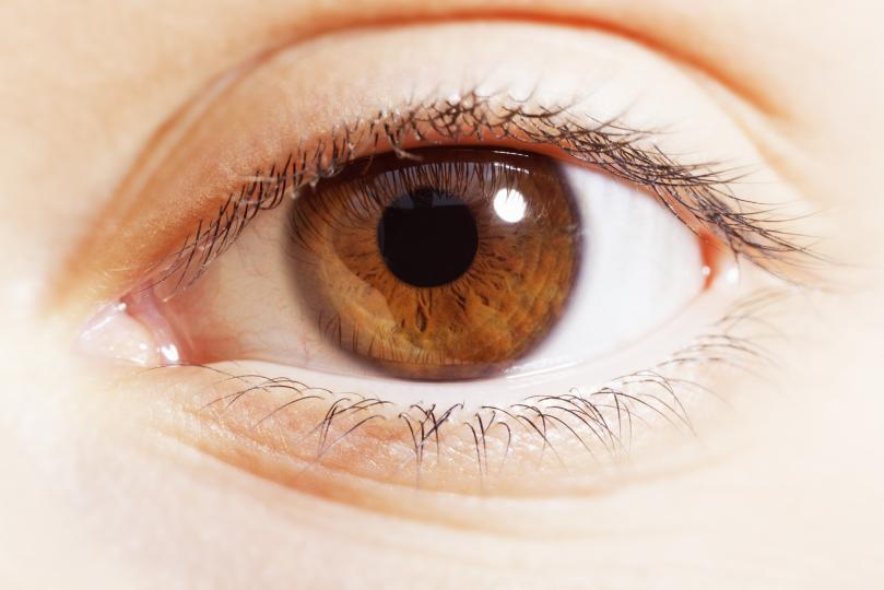 <p><b>Кафяви очи</b><br />
Кафявите очи са най-често срещаните в света в сравнение със сините и зелените. Приблизително 79% от световното население има някакъв нюанс на кафяво в очите, но това не значи, че всички тези хора са обикновени. Хората с кафяви очи са уверени и напористи. Те с лекота се справят с конфликти, защото са приятни личности, готови да изслушат различните гледните точки, преди да изложат своята.</p>