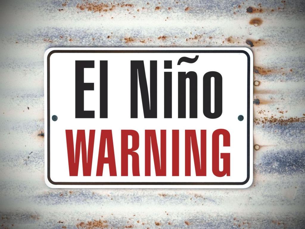 Според учените мощното метеорологично явление Ел Ниньо, което заедно с