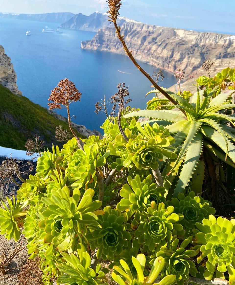  круиз celestyal cruises 