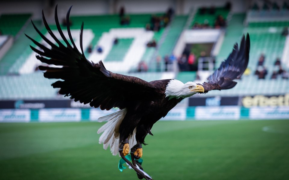 Лудогорец vs Локомотив София