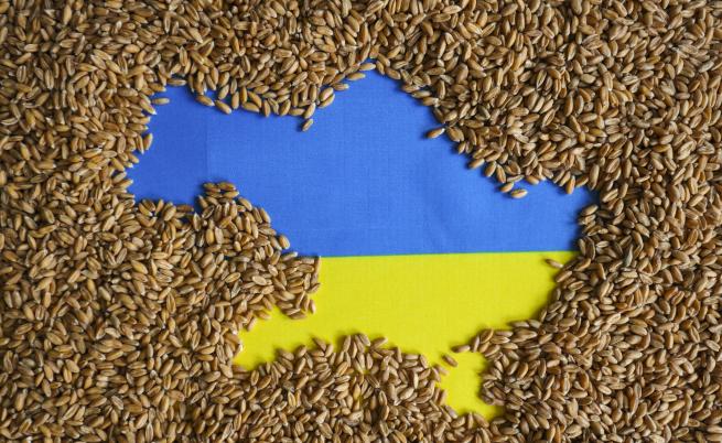 Румъния и Унгария искат удължаване на забраната за внос на украинско зърно до края на годината