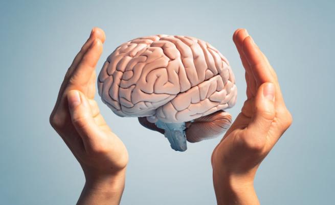 Човешкият мозък е нараснал с почти 7%, но коефициентът на интелигентност е намалял