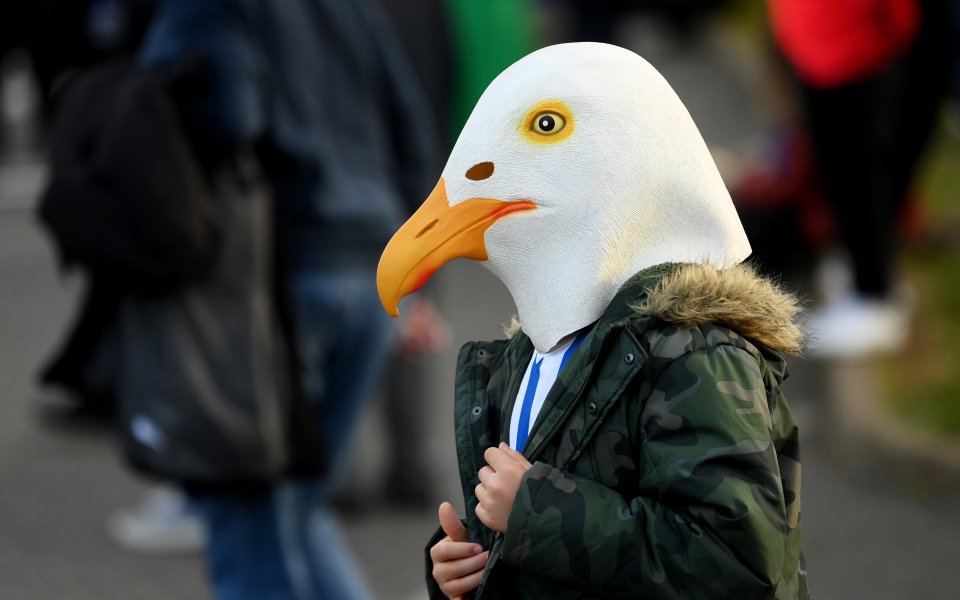 Брайтън - Манчестър Юнайтед