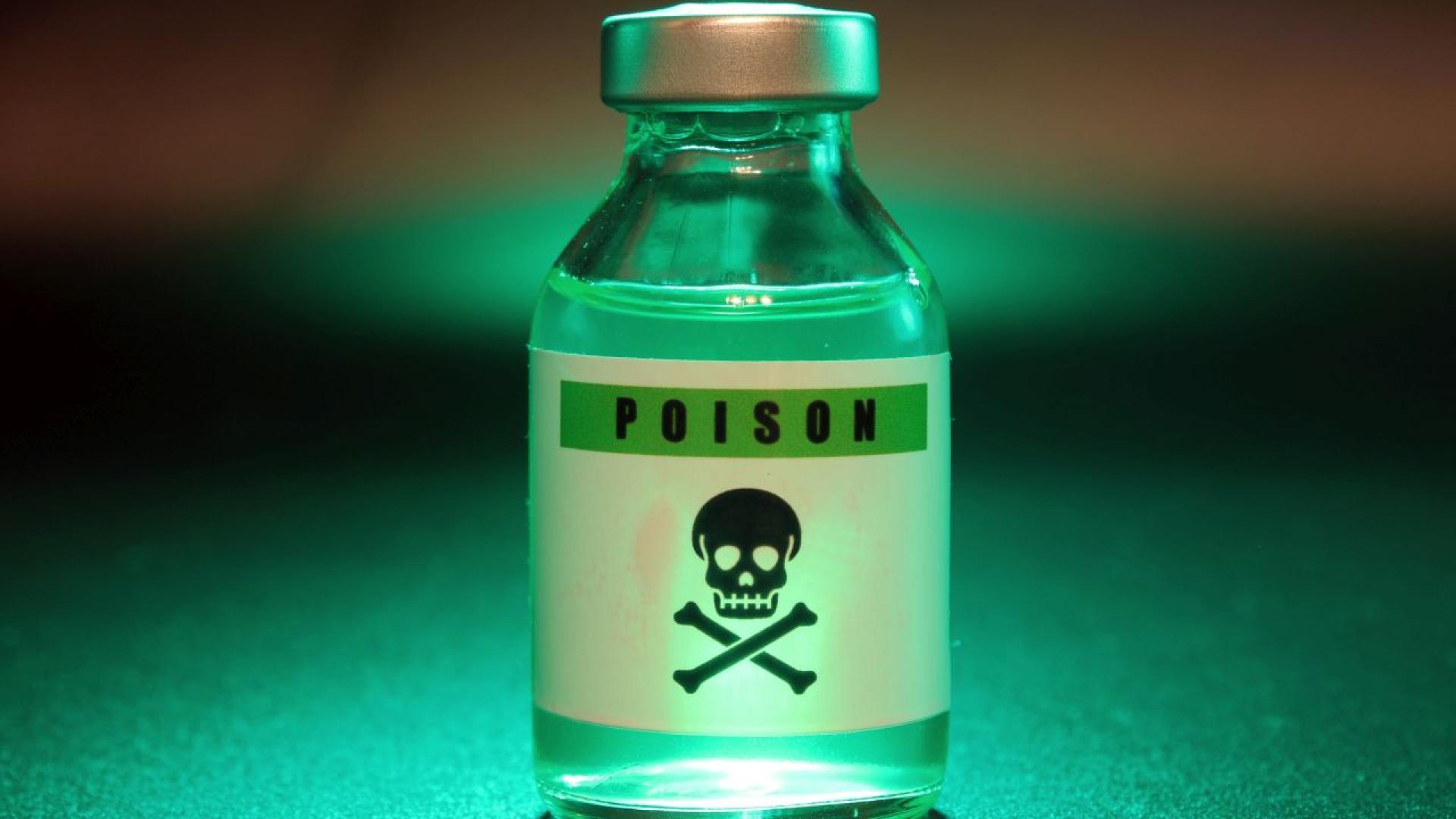 Тийнейджърка призна пред бразилските власти че е убила своята приятелка