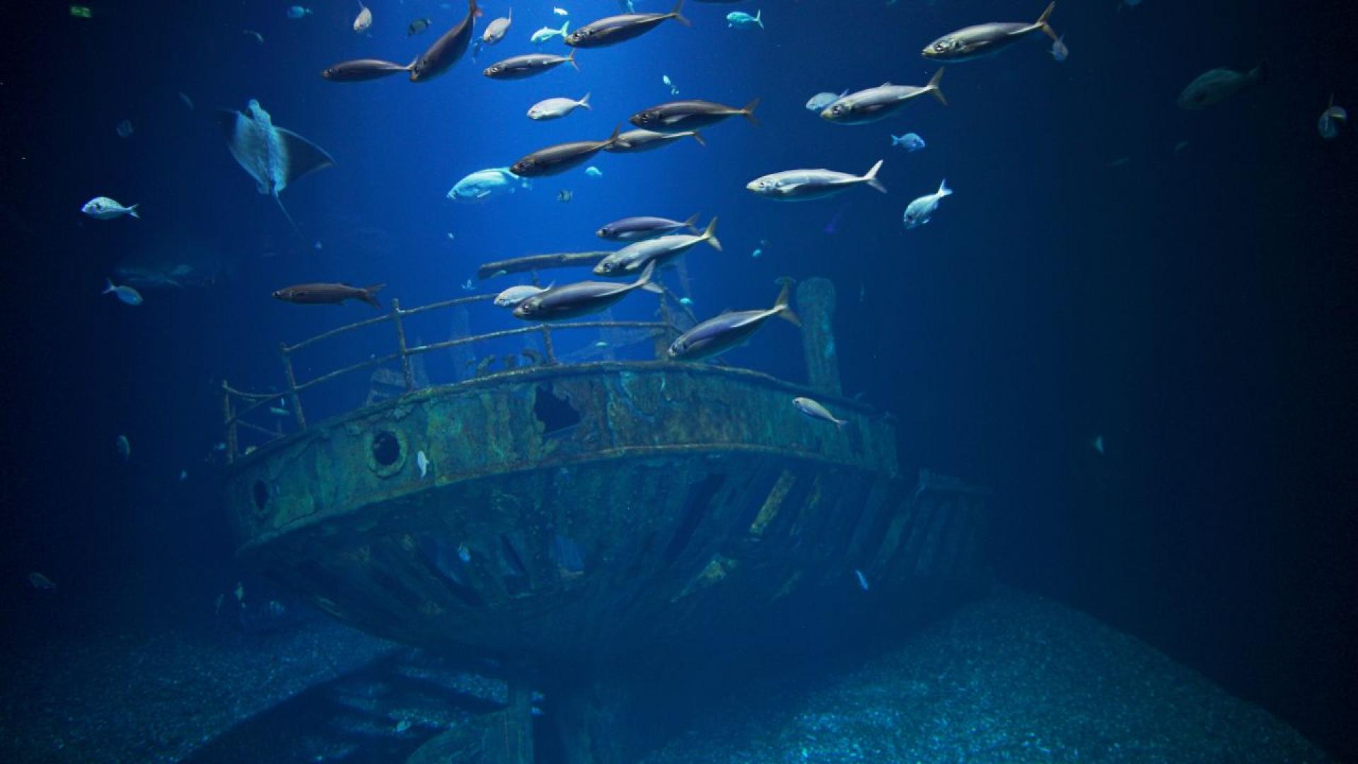 Параход потънал край Созопол преди близо 200 години беше открит