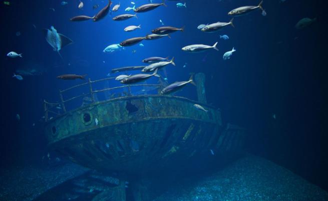 Изчезна подводница, превозваща туристи до останките на 