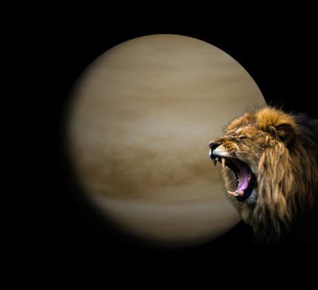 На 5 юни Венера преминава в Лъв където ще се