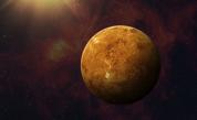 Венера е в Лъв: Нещата са напът да станат горещи