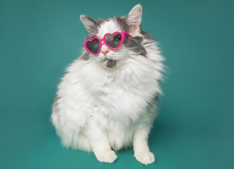 Седмичен хороскоп за 12-18 юни - снимка 9