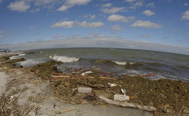 Забраниха къпането на плажовете в Одеса заради замърсяване на водата