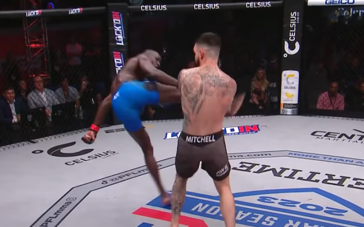 Брутален нокаут в MMA (видео)