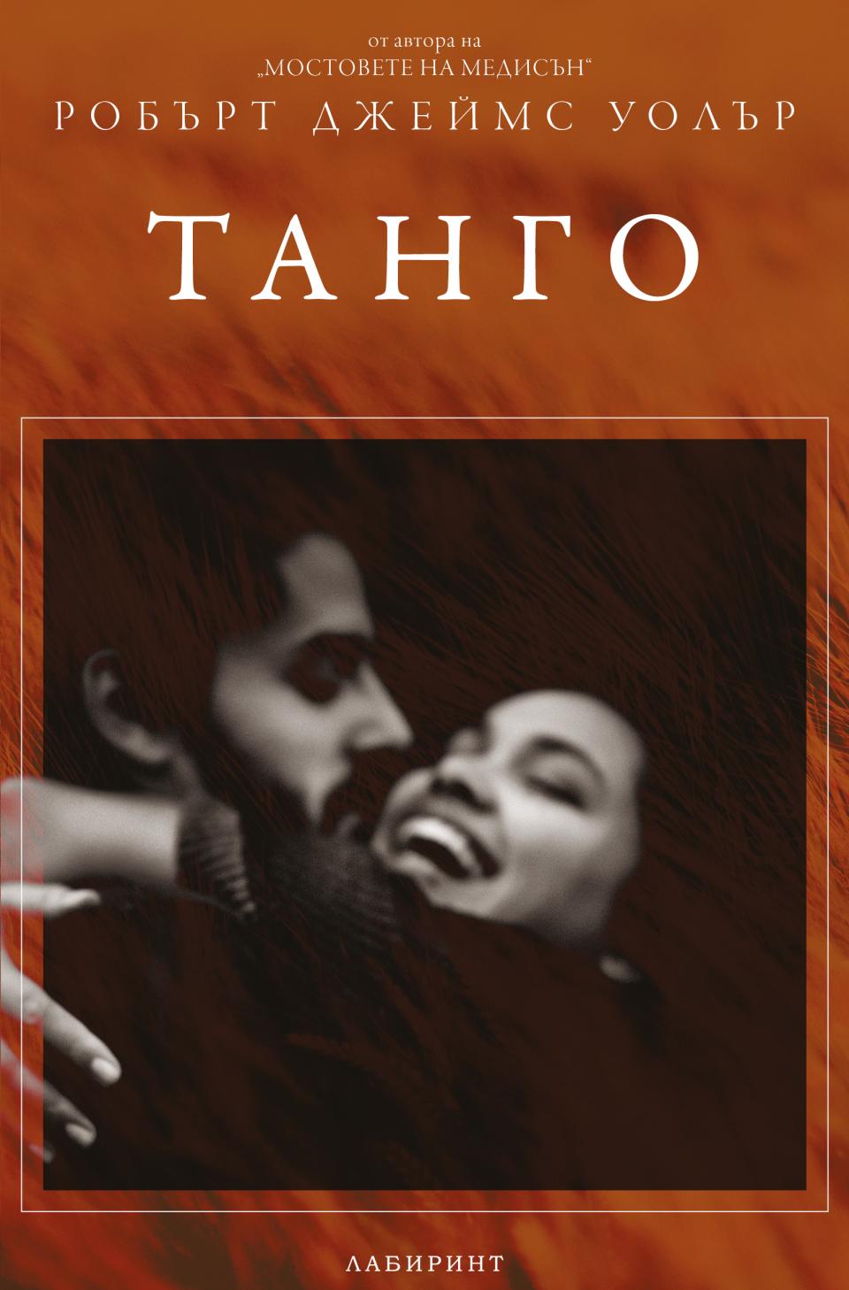  книга Лабиринт 