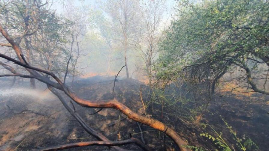Голям пожар край първомайското село Буково, военни се включиха в гасенето