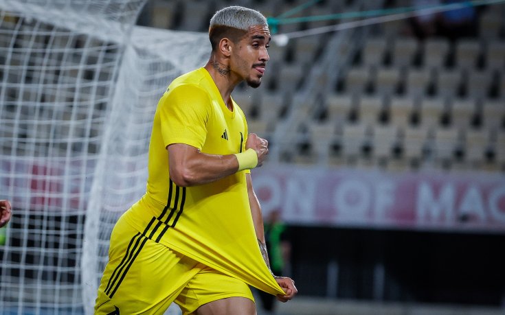 Левски с официална позиция за събитията в Скопие