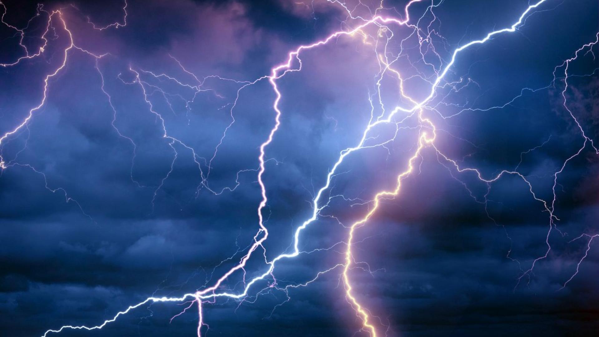 Най малко 15 души бяха ранени от мълния в зоологическата градина