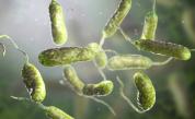 Резистентни и изключително заразни: Каква е причината за разпространението на болничните супербактерии