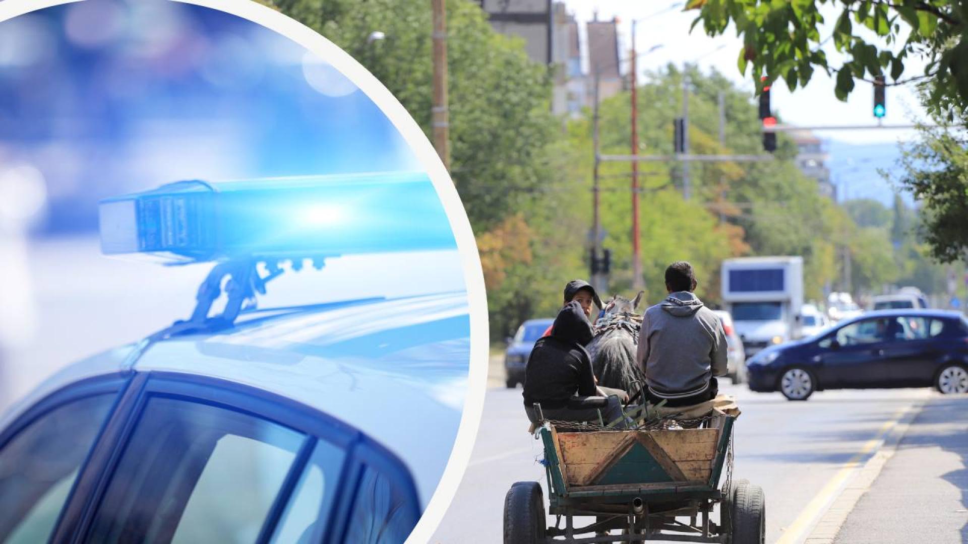 За катастрофа между турски тир и конска каруца в Бяла