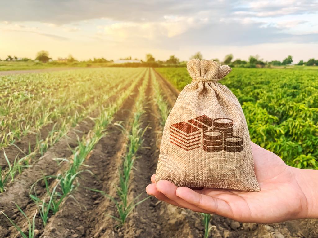 Министерският съвет ще разработва нов закон за търговията с аграрни