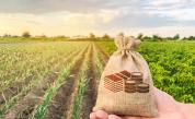 Правителството ще работи по нов закон за търговията с аграрни стоки