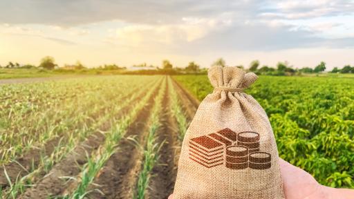 Украинските земеделски стоки ще се внасят в България с лиценз и през 2026 г.