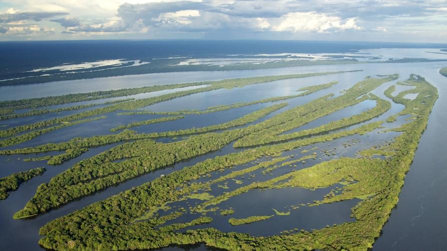 Най-тъмната река в света е застрашена от човешката дейност в Африка