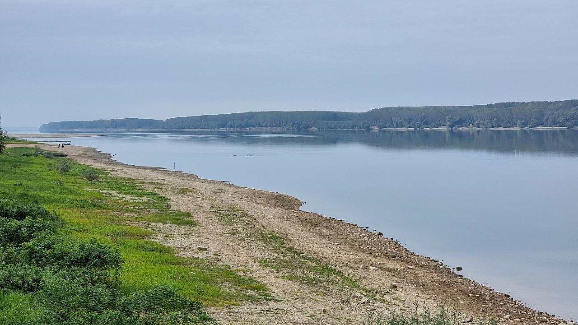 Жена се удави днес във водите на река Дунав край
