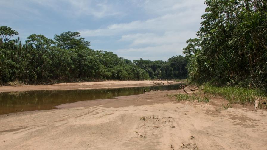 Рекордната суша в Амазонка разкри древни изображения и скулптури