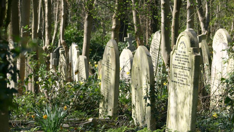 Снимката е илюстративна