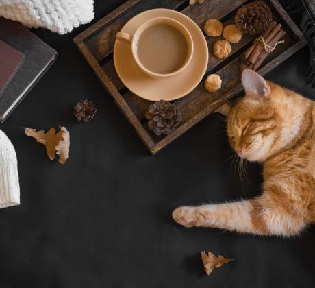 Добро утро Нека започнем деня с вдъхновяващи думи Ако погледнете към