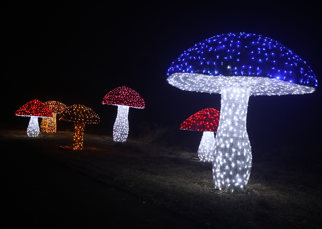 <p>Вълшебната градина Lumina Park</p>