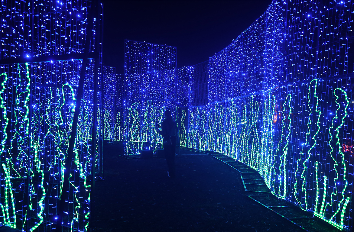 <p>Вълшебната градина Lumina Park</p>