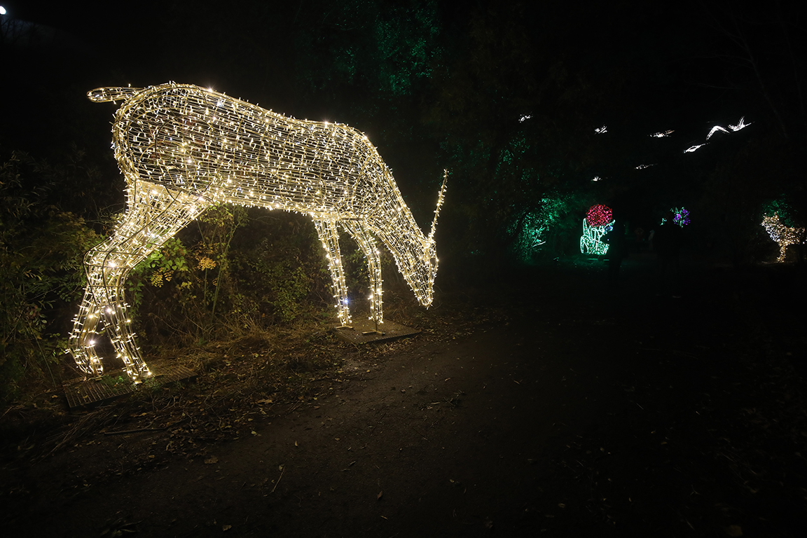 <p>Вълшебната градина Lumina Park</p>