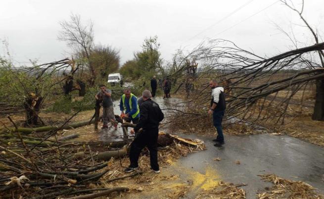 След силната буря в Шумен: Дърво падна върху жена и я рани