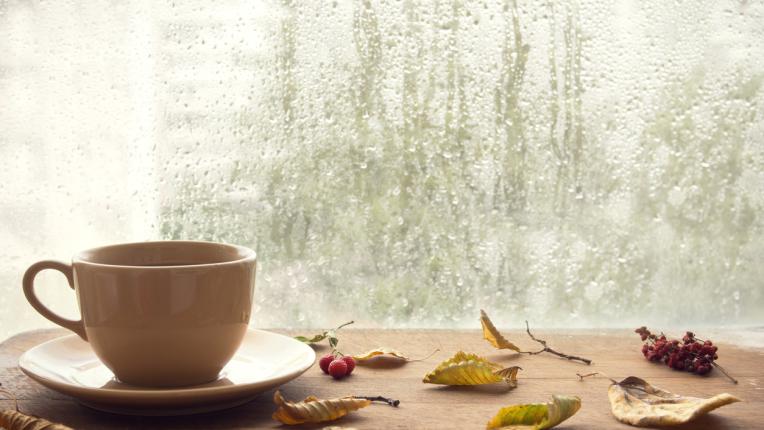  Дневен хороскоп за четвъртък, 23 ноември 