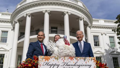 Джо Байдън помилва пуйките Бел и Либърти за Деня на благодарността