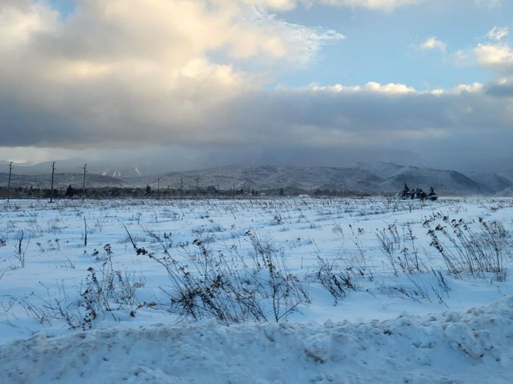 Обилен снеговалеж се наблюдава на 20 януари в цялата страна