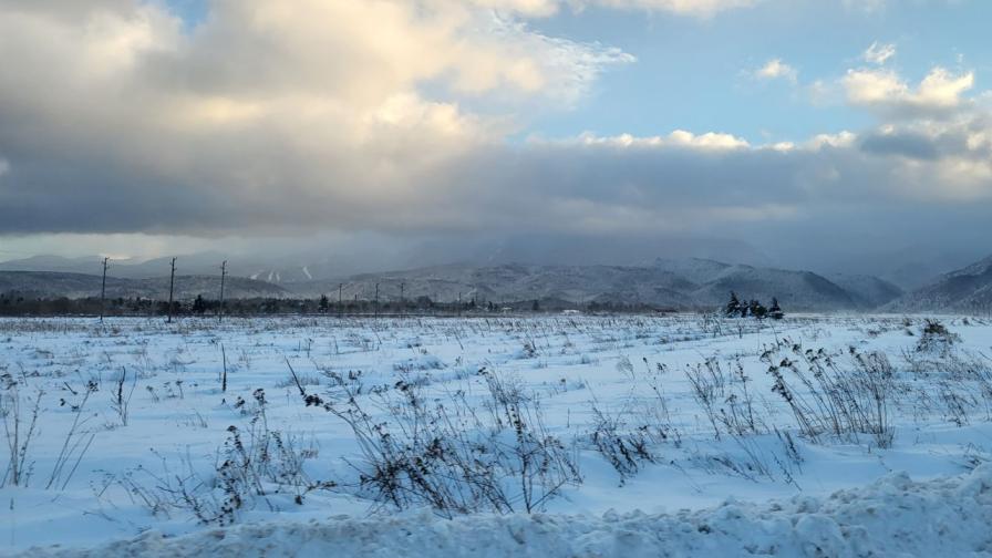 Самоков има сняг навсякъде. По пътя за Лесопарк „Ридо" има изпопадали дървета и клони, но пътят е проходим.