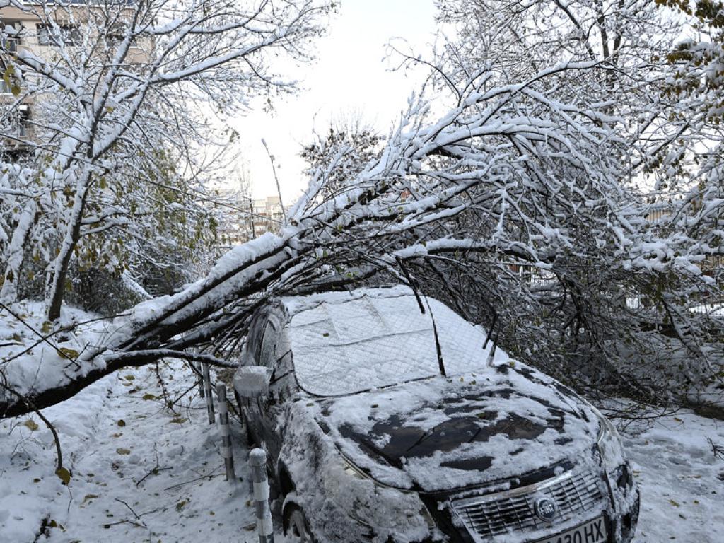 Снежната буря у нас причини сериозни щети в цялата страна