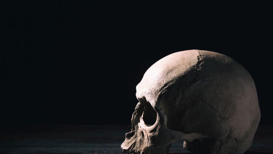 "Човекът дракон": Учени разкриха мистериозен череп на 1 млн. години